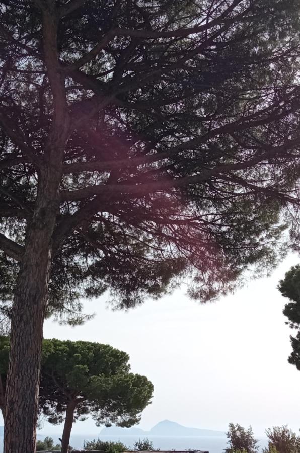 לינה וארוחת בוקר טרקאזה Vesuvio Casa De Charme מראה חיצוני תמונה