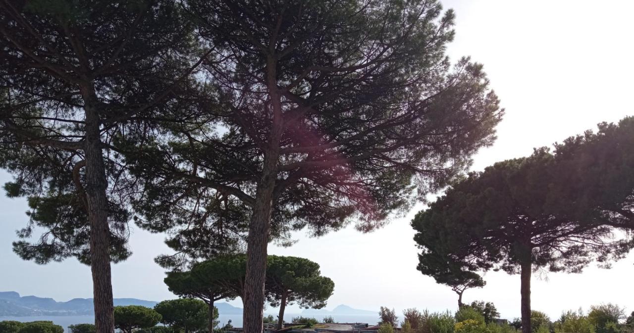 לינה וארוחת בוקר טרקאזה Vesuvio Casa De Charme מראה חיצוני תמונה