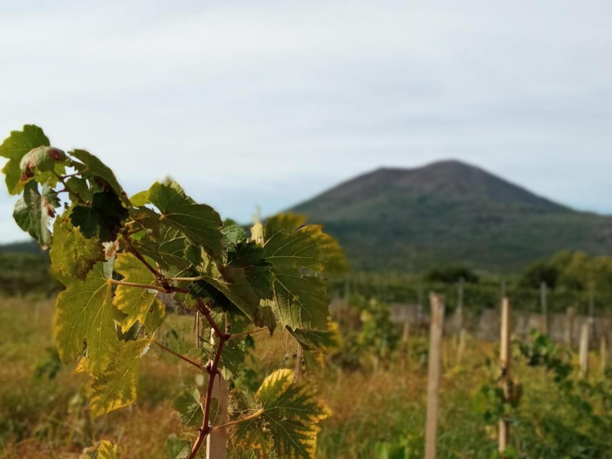 לינה וארוחת בוקר טרקאזה Vesuvio Casa De Charme מראה חיצוני תמונה
